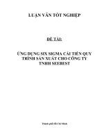 Luận văn tốt nghiệp Đề tài ứng dụng SIX SIGMA cải tiến quy trình sản xuất cho Công ty TNHH SEEBEST