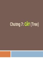 Chương 7 Cây (Tree)
