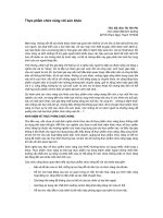 thực phẩm chức năng với sức khỏe