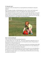 5 điều bố mẹ không để ý làm con kém phát triển