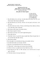 ôn thi lí luận văn học