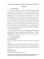 Giải pháp nâng cao hiệu quả chiến lược kinh doanh sản phẩm nội thất tại công ty cổ phần changsing