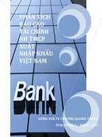 phân tích báo cáo tài chính ngân hàng thương mại cổ phần xuất nhập khẩu việt nam