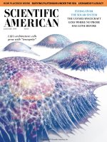 scientific american   -  1998 01  -  flying over the solar system