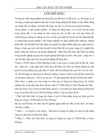 phân tích tình hình sử dụng lao động và một số biện pháp nâng cao hiệu quả lao động tại công ty tnhh điện cơ hoa phượng