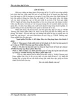 báo cáo thực hành kế toán :