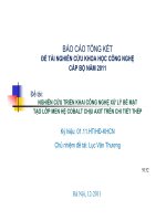 Nghiên cứu triển khai công nghệ xử lý bề mặt tạo lớp men hệ cobalt chịu axit trên chi tiết thép