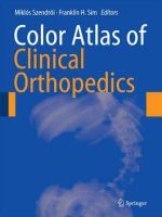 color atlas of clinical orthopedics  -  m. szendroi, f. sim (springer, 2009)