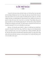 Đề án các phân tích và giải pháp đầu tư của Việt Nam vào thị trường Nam Phi