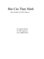 báo báo quản trị dữ liệu