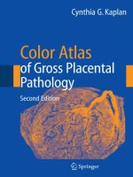 color atlas of gross placental pathology 2nd ed  -  c. kaplan (springer, 2007)