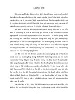 xuất khẩu hàng may mặc của công ty dệt – may hà nội vào thị trường mỹ