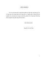 Luận án phát triển nguồn cán bộ quản lý trong các doanh nghiệp nhỏ và vừa của ngành sản xuất thức ăn chăn nuôi việt nam