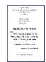 phân tích doanh thu và lợi nhuận xuất khẩu của công ty tnhh thương mại dịch vụ xuất nhập khẩu song minh