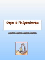 Chapter 10 File-system interface