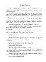 Kỹ thuật trồng tỏi tây