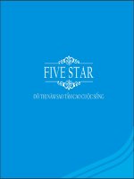 giới thiệu đô thị five star
