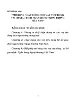 Mở rộng hoạt động cho vay tiêu dùng tại sở giao dịch ngân hàng ngoại thương Việt Nam