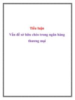 vấn đề sở hữu chéo trong ngân hàng thương mại