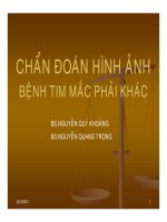 chẩn đoán hình ảnh bệnh tim mắc phải khác