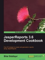 jasperreports 3.6 development cookbook