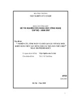 Nghiên cứu, tính toán và chế tạo gầu vớt rác điều khiển bằng thuỷ lực dùng cho các nhà máy thuỷ điện