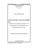 đề tài giải pháp nâng cao hiệu quả huy động vốn tại ngân hàng đầu tư và phát triển việt nam chi nhánh thăng long