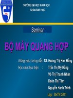 Bộ máy quang hợp