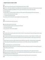 HỎI đáp về THUẾ THU NHẬP cá NHÂN