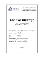 báo cáo thực tập nhận thức tại công ty tnhh thương mại – dịch vụ  - sản xuất sinh việt