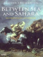 between sea and sahara [electronic resource] an orientalist adventure