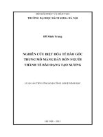 Nghiên cứu biệt hóa tế bào gốc trung mô màng dây rốn người thành tế bào dạng tạo xương