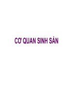 7  cơ QUAN SINH sản CHUNG