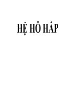 hệ hô hấp