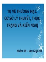 Tự vệ thương mại cơ sở lý thuyết, thực trạng và kiến nghị