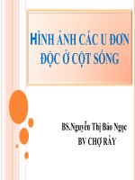 hình ảnh các u đơn độc ở cột sống