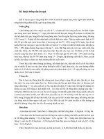 Kỹ thuật trồng sấu ăn quả