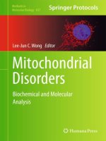 mitochondrial disorders biochemical and molecular analysis