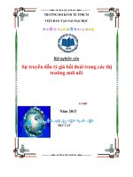 sự truyền dẫn tỷ giá hối đoái trong các thị trường mới nổi