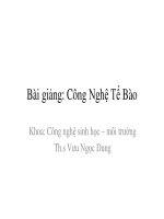 bài giảng công nghệ tế bào chương 2 cơ sở di truyền học