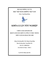 Chiến lược kinh doanh dịch vụ bay dầu khí của Công ty trực thăng miền Nam giai đoạn 2012 - 2020