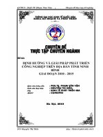 định hướng và giải pháp phát triển công nghiệp trên địa bàn tỉnh ninh bình giai đoạn 2010 - 2015