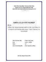 Công tác hoạch định chiến lược tại công ty cổ phần sản phẩm sinh thái - thực trạng và giải pháp