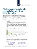 Module 1 trade channels and market segments 0