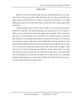 Giải pháp marketing nhằm nâng cao sức cạnh tranh sản phẩm rượu Vodka của công ty CP Cồn rượu Hà Nội trên thị trường Hà Nội”.