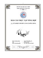 Báo cáo thực tập xí nghiệp chế biến lâm sản Bông Hồng