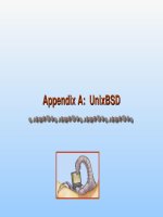 Appendix a Unixbsd