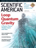 scientific american   -  2004 01  -  loop quantum gravity