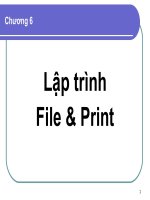 Chương 6 Lập trình File and Print