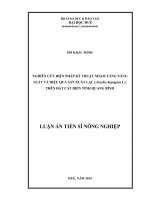 Nghiên cứu biện pháp kỹ thuật nhằm tăng năng suất và hiệu quả sản xuất lạc (Arachis hypogaea L.) trên đất cát biển tỉnh Quảng Bình